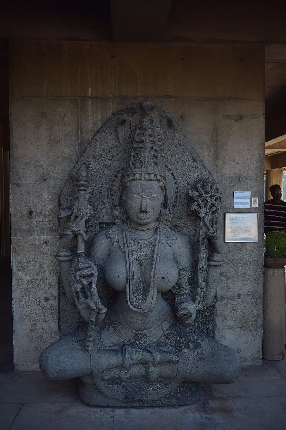 An Ancient Padmavati Statue title QS:P1476,en:"An Ancient Padmavati Statue "label QS:Len,"An Ancient Padmavati Statue "