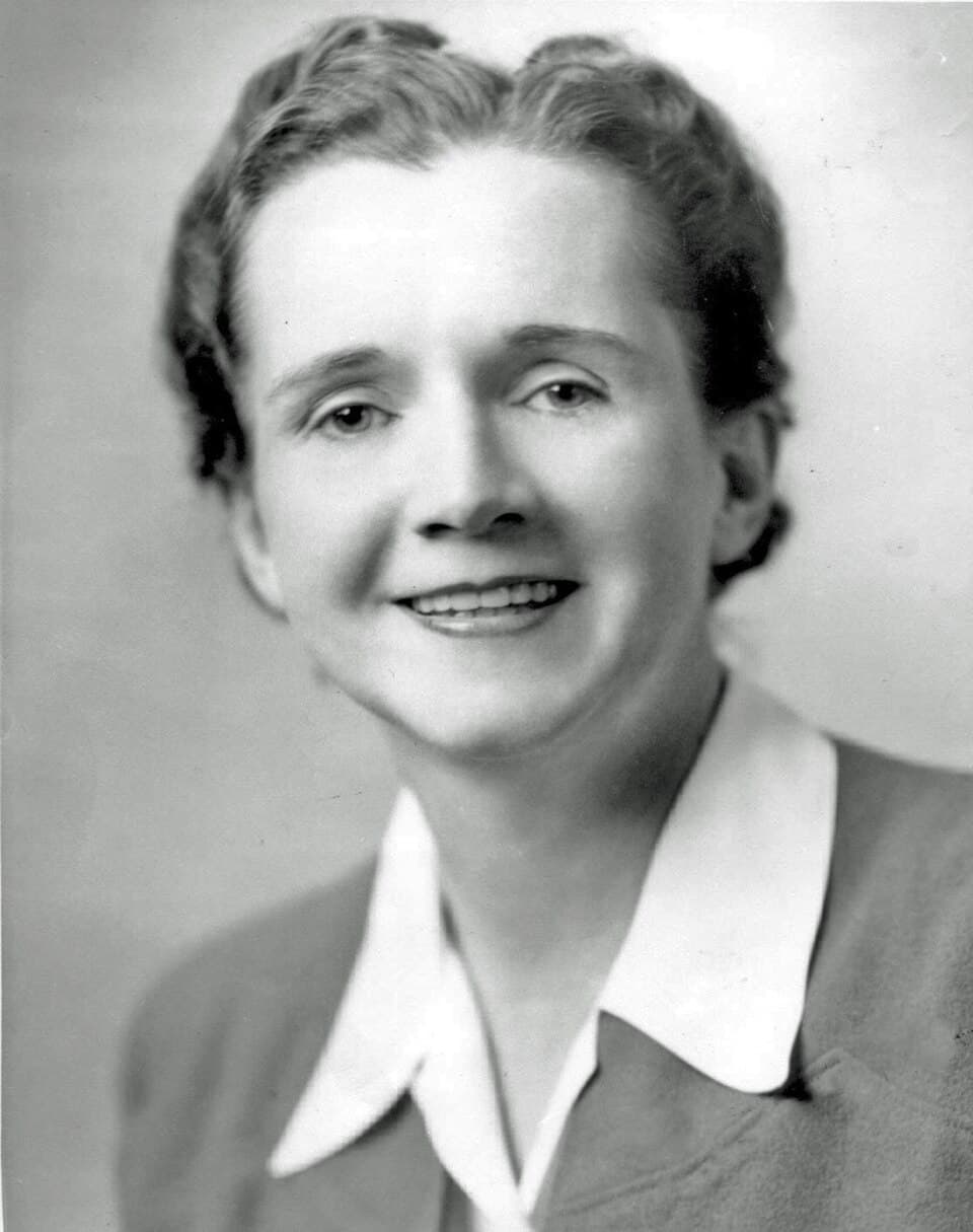 Rachel Carson w