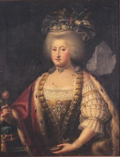 Painting of Marie Clotilde of France while Princess of Piedmont