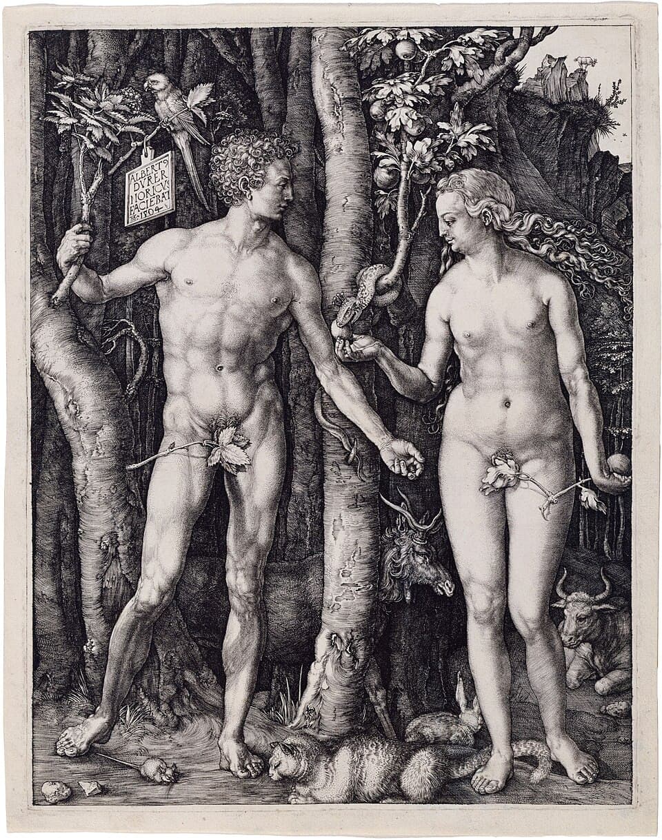 Adam and Eve title QS:P1476,en:"Adam and Eve "label QS:Len,"Adam and Eve "label QS:Les,"El Pecado original (Durero)"label QS:Lhu,"Ádám és Éva"label QS:Lca,"Adán y Eva"label QS:Lcy,"Adda ac Efa"label