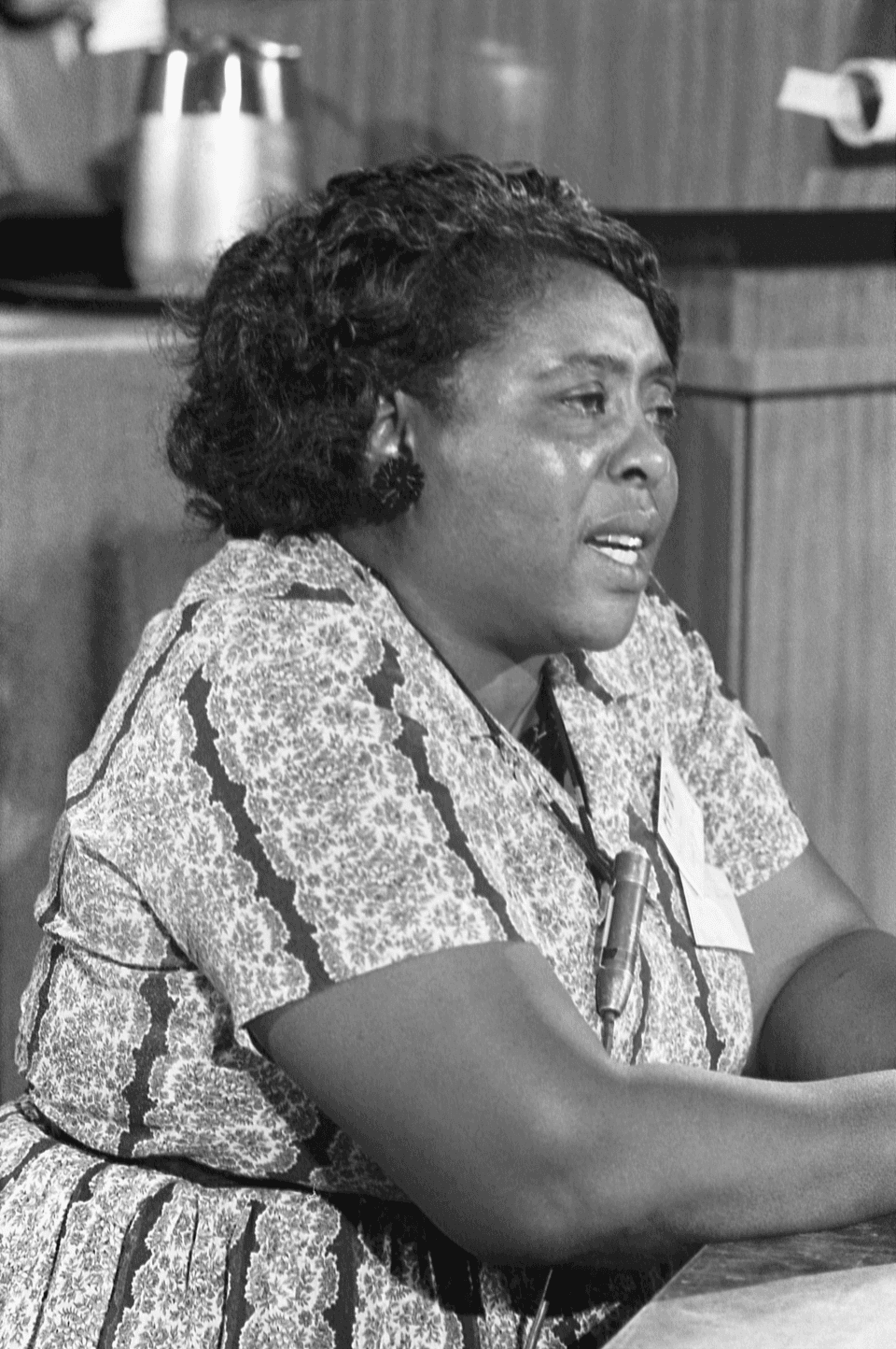 Fannie Lou Hamer 1964-08-22
