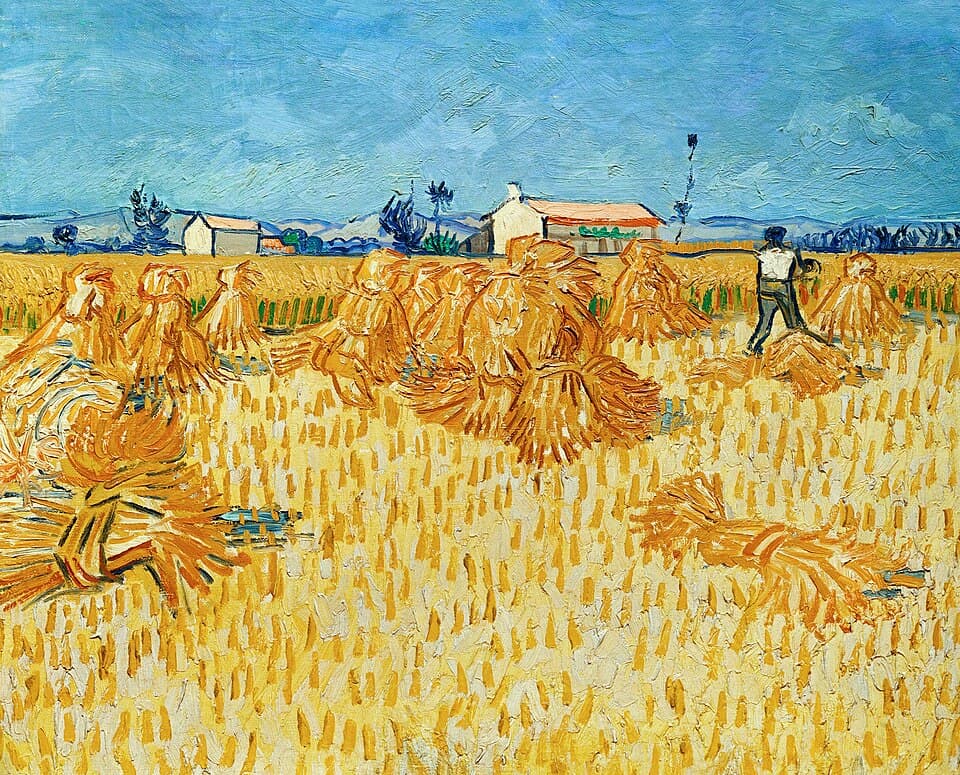 Harvest in Provence.