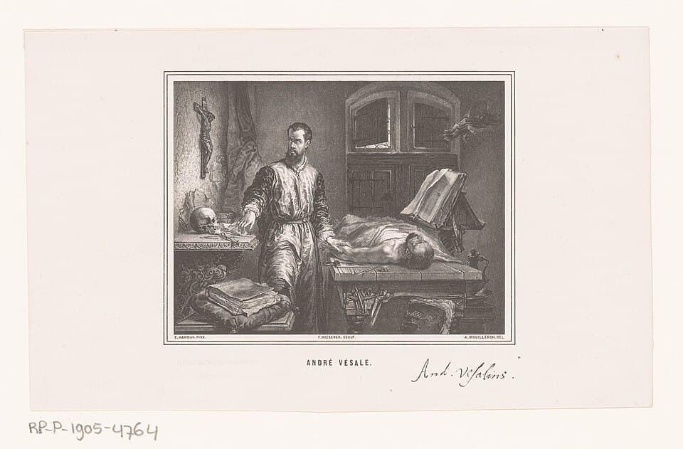 Andreas Vesalius in zijn werkplaats, RP-P-1905-4764