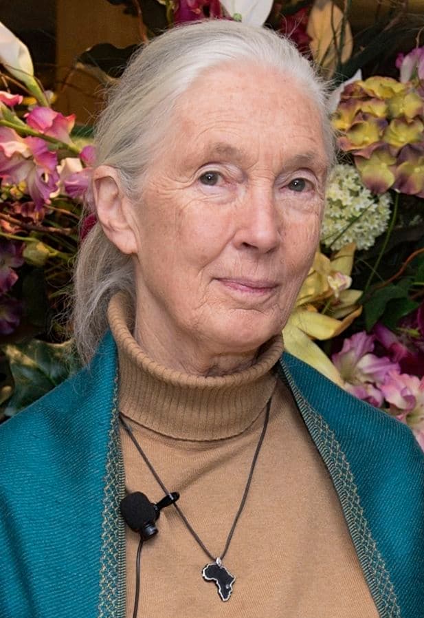 Jane Goodall 2015