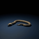 Le serpent