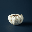 Graine de tournesol en porcelaine