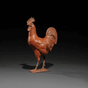 Coq rouge