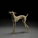 Chiens de chasse