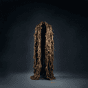 La robe de plumes (versions populaires)