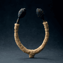 Sistrophore