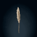 Plume et encrier