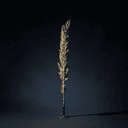 Plume et encrier