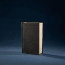 Journal illustré