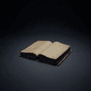 Livre de comptes (账簿, zhàngbù)