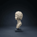 Perruque poudrée
