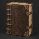 Bible luthérienne