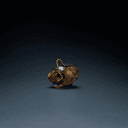 Perles de verre et cauris