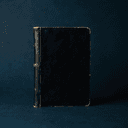 Journal The Black Panther