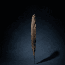 Faucon ou plumes de faucon