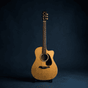 Guitare acoustique (violão)