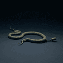 Serpents