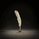 Plume d'oie et encrier
