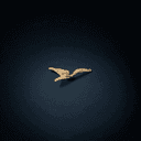 Les ailes dorées