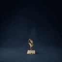Palme d'Or