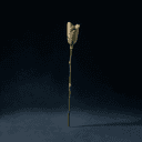 Ricin (plante ombragère)