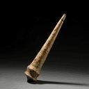 La conque sacrée (Shankha)