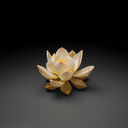 Le lotus sacré