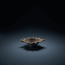 Feu sacrificiel (agni)