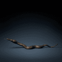 Serpent python (Li Grand Zombi)