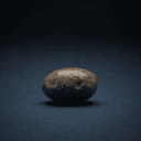 Bezoar (coprolite)
