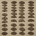 Caryotype