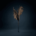 Coiffe à plumes d'autruche