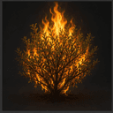 Le Buisson ardent