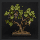 La vigne