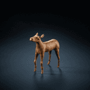 L'animal de Set (Set-animal)