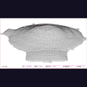 Le coquillage (coquille Saint-Jacques)