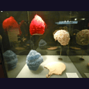 Bonnet de bain