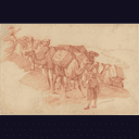Caravane de chameaux