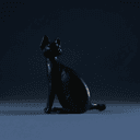 Chat noir (motif fétiche)