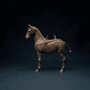 Cheval des steppes