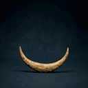 Croissant lunaire