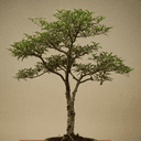 Jeune plant d'arbre