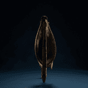 Égide (armure divine)