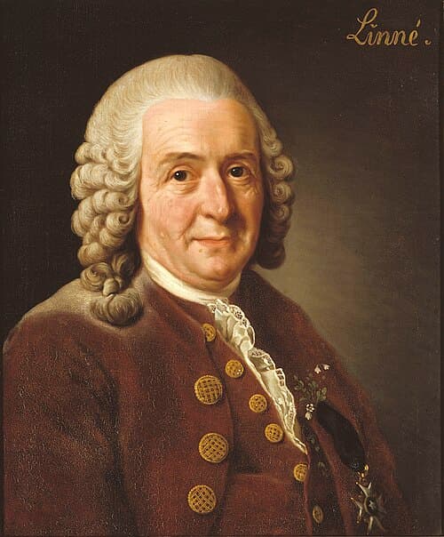 Carl von Linnaeus
