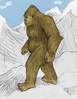 Yeti