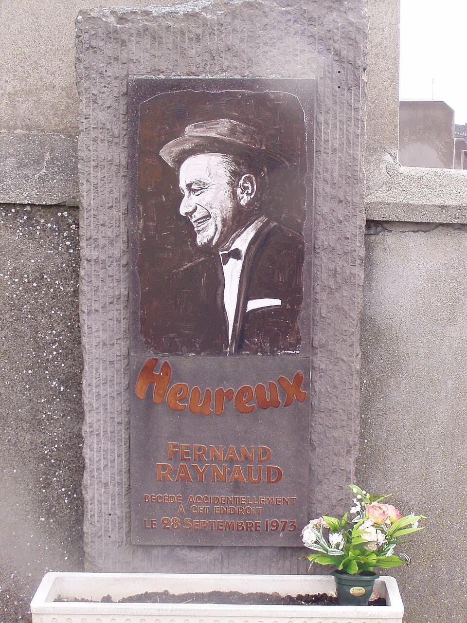 Raynaud stele